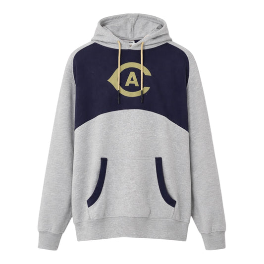 Champion Colorblock Hoodie